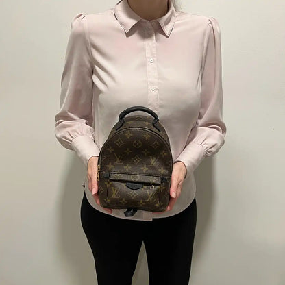 Louis Vuitton Palm Springs Mini Rucksack Monogram Canvas Fullset / sehr gut Louis Vuitton