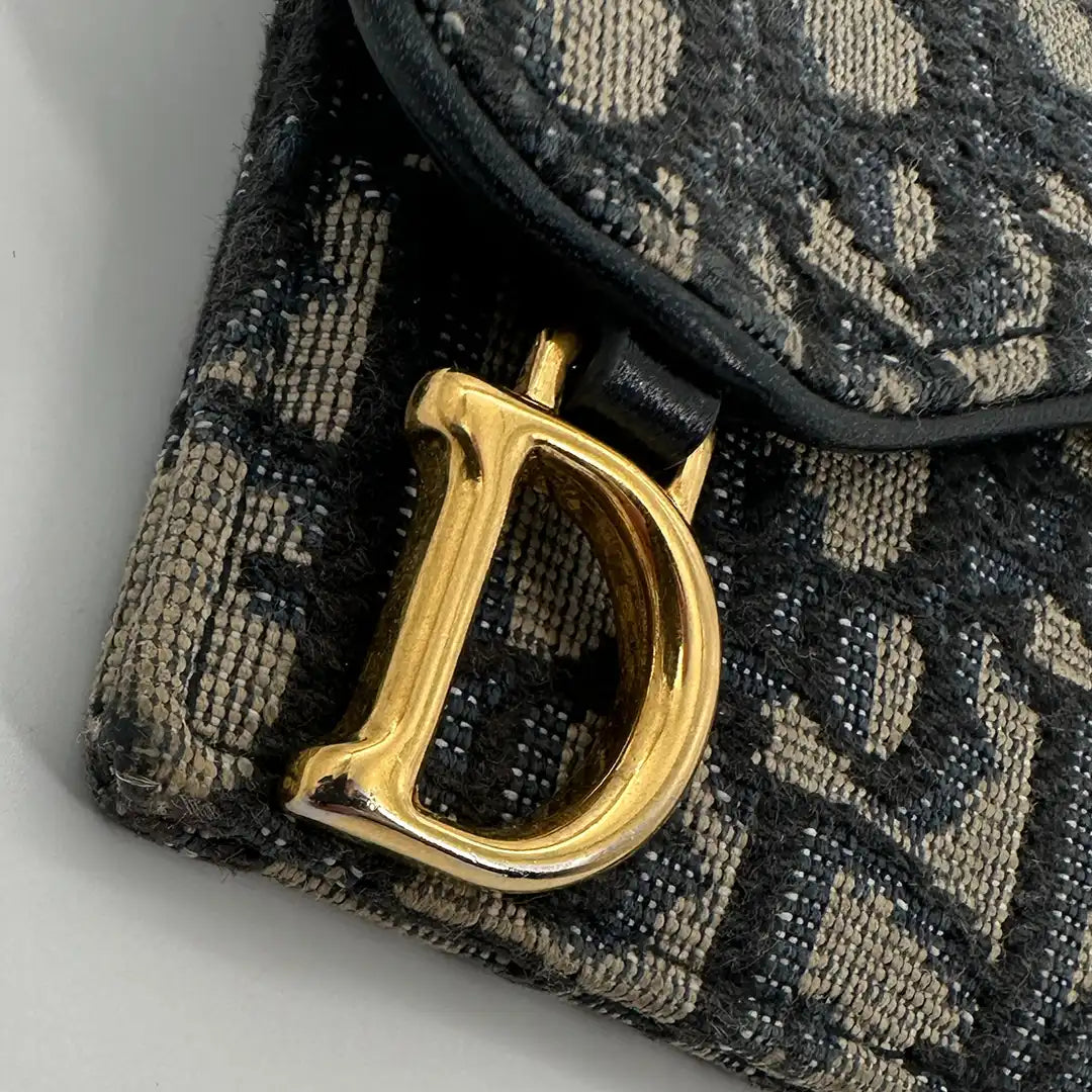Dior Saddle Kartenetui / gut Dior