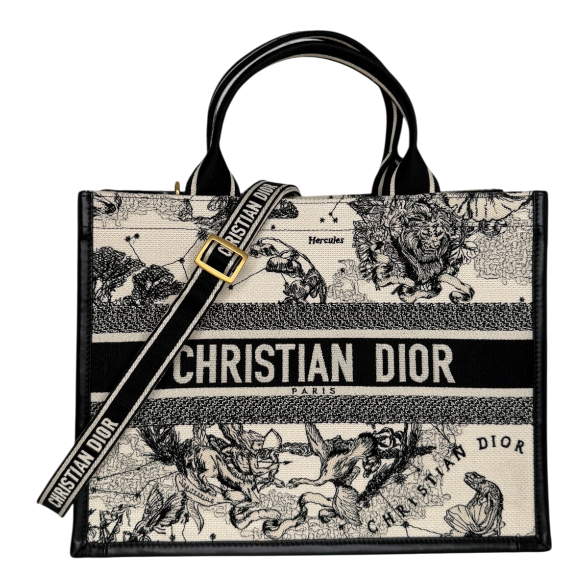 Dior Book Tote Medium Dior Zodiac Stickerei Latte Multicolor Schwarzes Leder mit Schulterriemen 2024 Dior