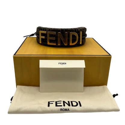 Fendi Fendigraphy Mini Mini Bag FF-Jacquardstoff in braun / sehr gut Fendi