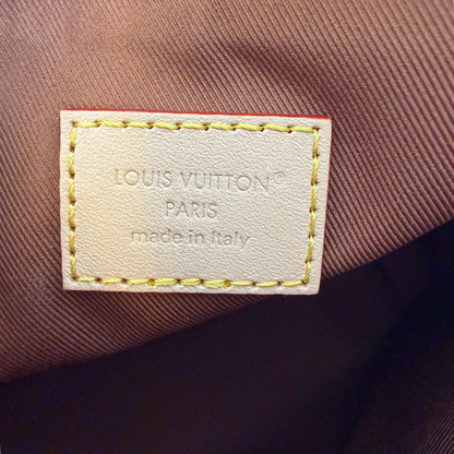 Louis Vuitton Multipass Mini Monogram Canvas Crossbody Bruin Goud