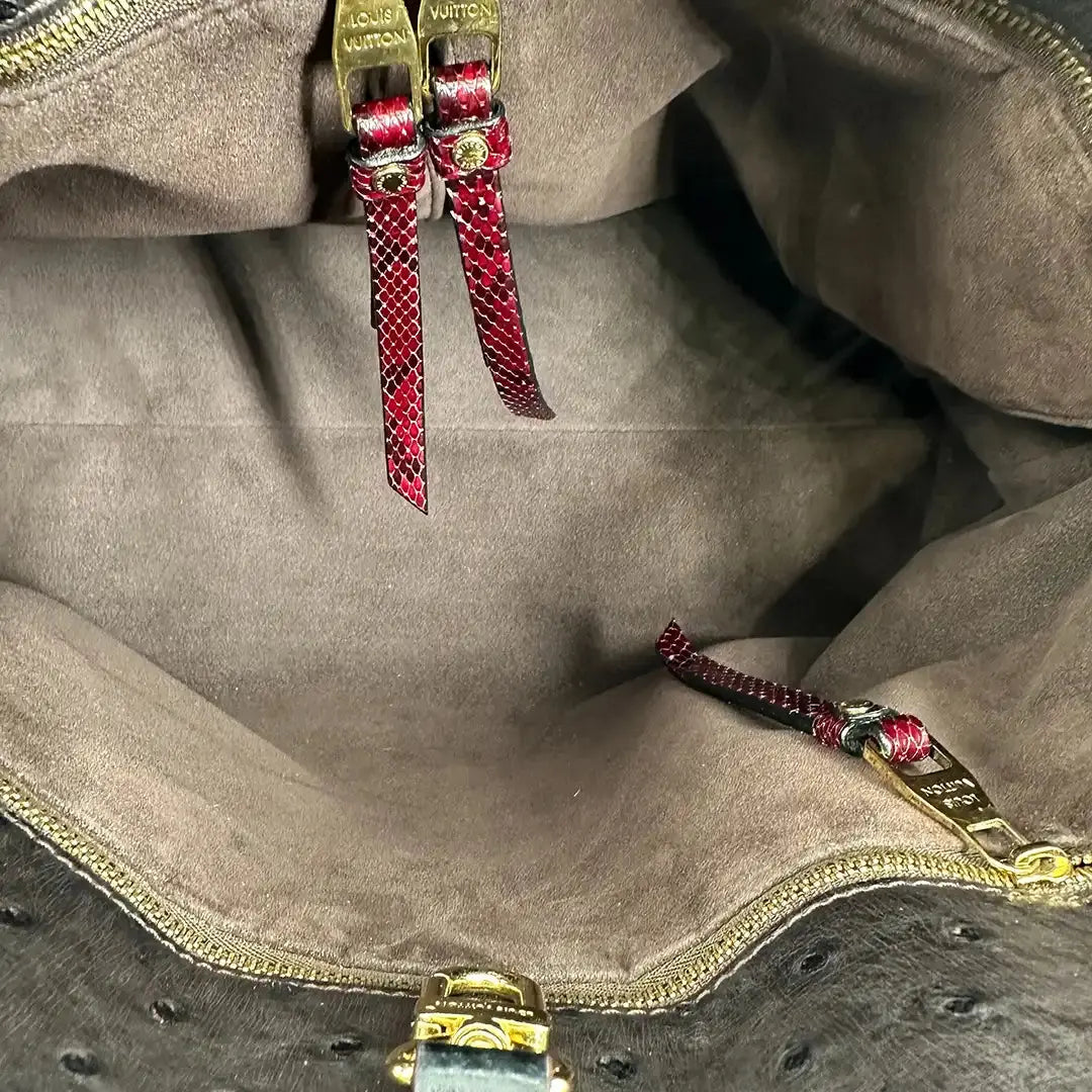 Louis Vuitton Etoile GM  Exotique Tote Bag / sehr gut Louis Vuitton