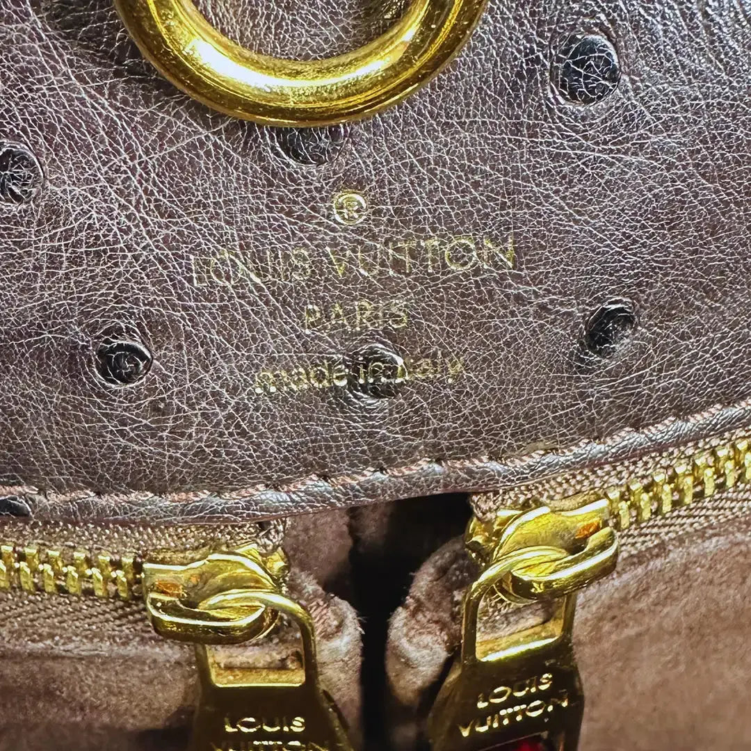 Louis Vuitton Etoile GM  Exotique Tote Bag / sehr gut Louis Vuitton