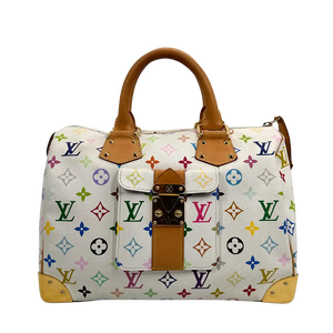 Louis Vuitton Speedy 30 Multicolor Tas M92643