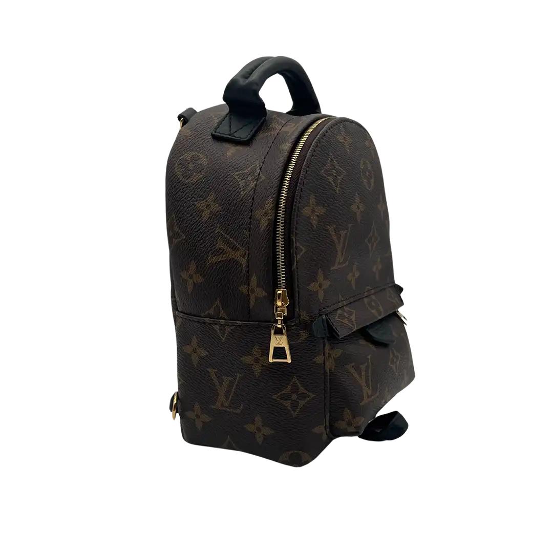 Louis Vuitton Palm Springs Mini Rucksack Monogram Canvas Fullset / sehr gut Louis Vuitton