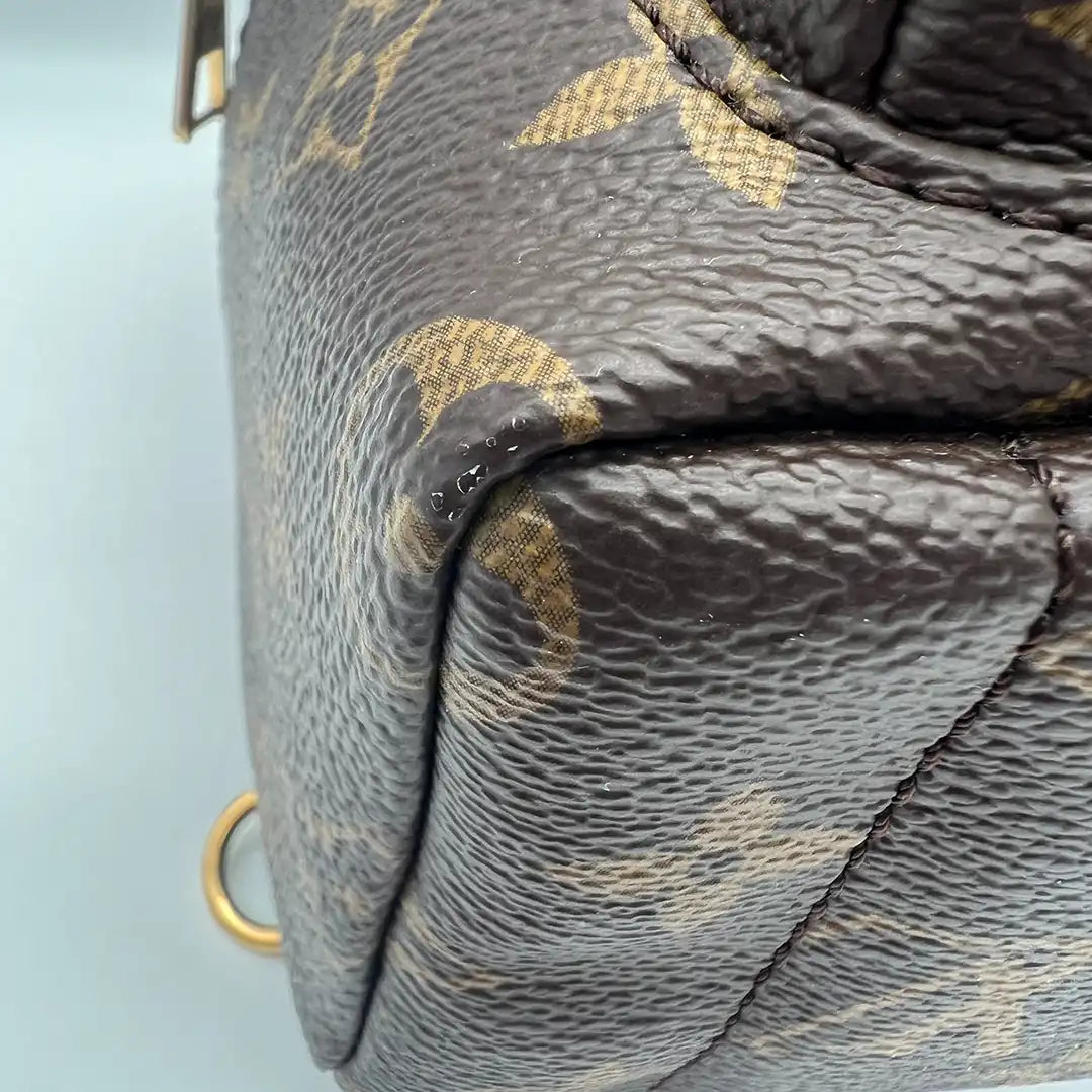 Louis Vuitton Palm Springs Mini Rucksack Monogram Canvas Fullset / sehr gut Louis Vuitton