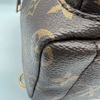 Louis Vuitton Palm Springs Mini Rucksack Monogram Canvas Fullset / sehr gut Louis Vuitton