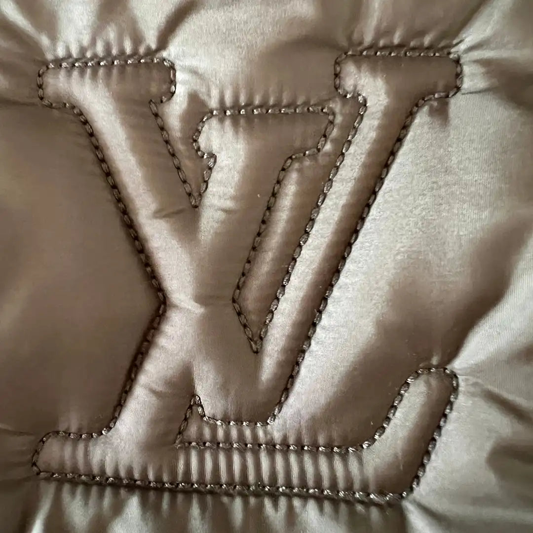 Louis Vuitton Pillow Maxi Multi Pochette Accessoires M58977 Fullset / sehr gut Echtheitscheck