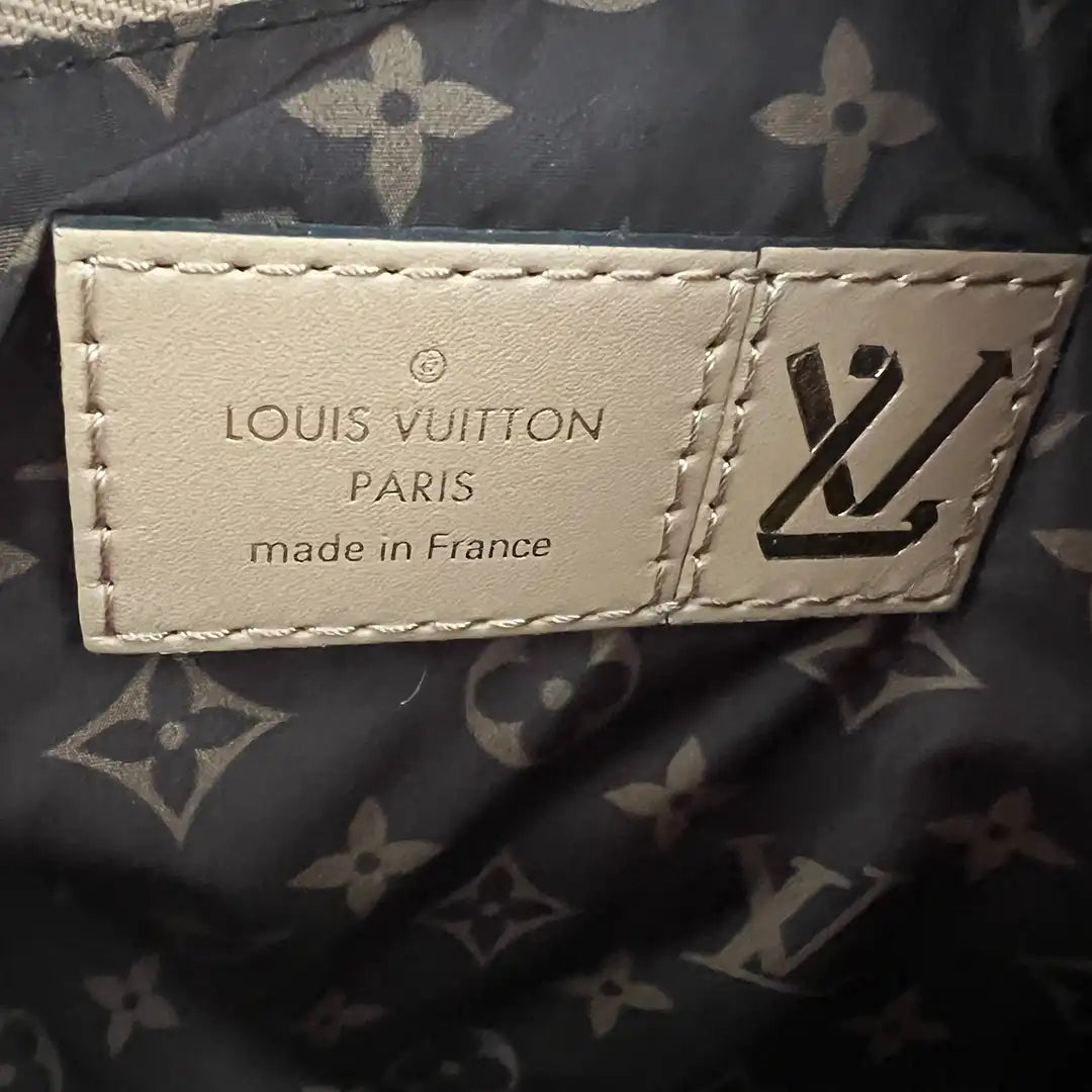 Louis Vuitton Pillow Maxi Multi Pochette Accessoires M58977 Fullset / sehr gut Echtheitscheck