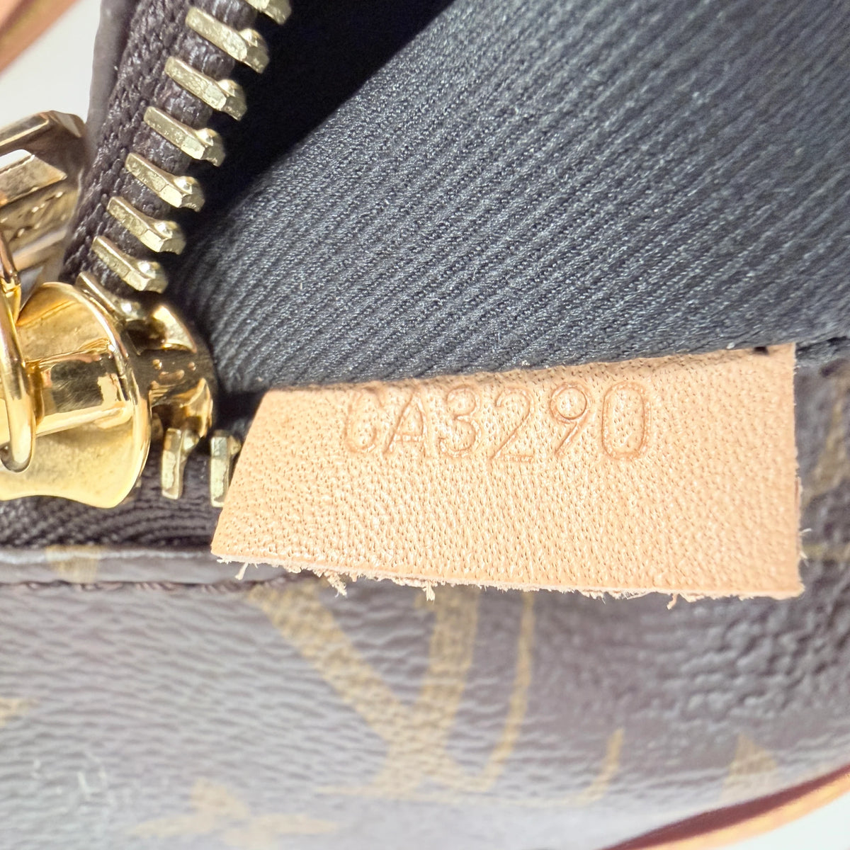 Louis Vuitton Bumbag Heuptas Monogram Canvas Bruin Goud
